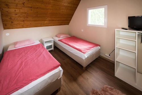 two beds in a small room with a tv at Ciprus Lak in Szarvas