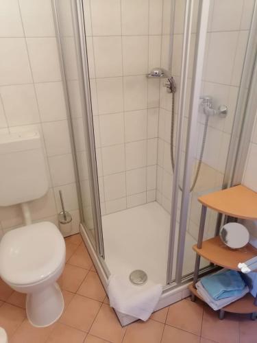 a bathroom with a shower and a toilet at Gasthof zur Post in Schonstett