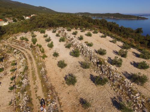 an aerial view of a field with a rock wall at Apartment Stanisic in Korčula