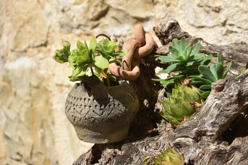 a vase with plants in it on a stone wall at Luxury Apartment Spa "Marina" in Makarska