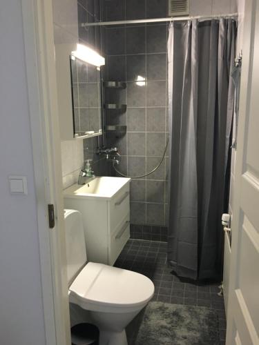 ein Bad mit einem WC, einem Waschbecken und einer Dusche in der Unterkunft StarHomes City Apartment 4 in Kemi