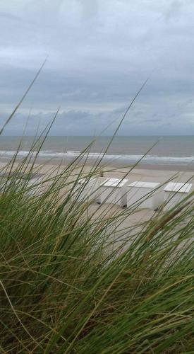 a beach with a view of the ocean and grass at Luxueuze stacaravan in Bredene met eigen terras en tuintje (425) in Bredene