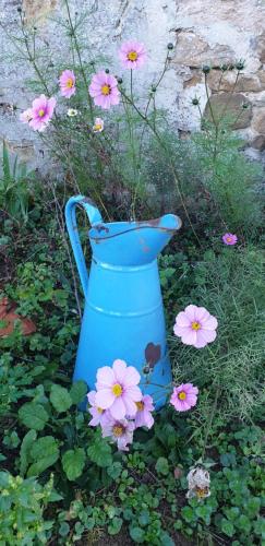 a blue vase with pink flowers in the grass at Chez Émile maison d'hotes 2 chambres avec jardin privé in Humes