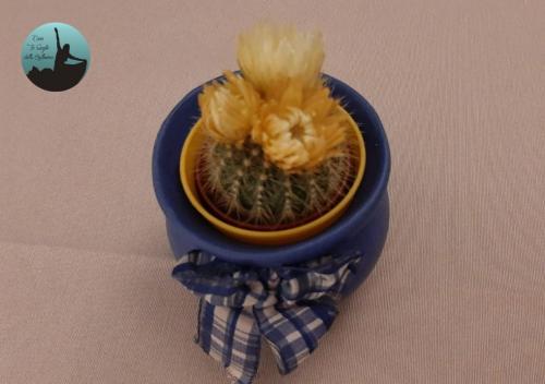 un contenedor azul con un cactus en él en Casa Lo Scoglio Della Ballerina en Livorno