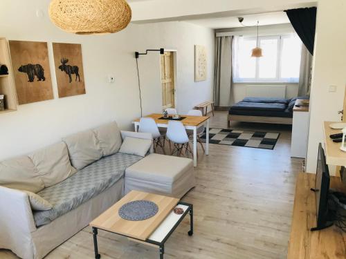 Posezení v ubytování Apartmán Orlické Záhoří