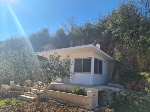 Gallery image of Martini Vacation Home in Sarandë