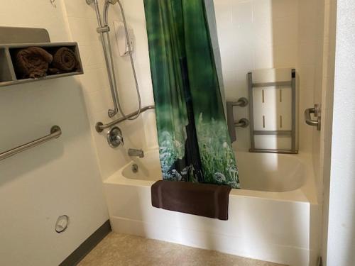 La salle de bains est pourvue d'une douche et d'une baignoire avec un miroir. dans l'établissement Americas Best Value Inn, à Salmon