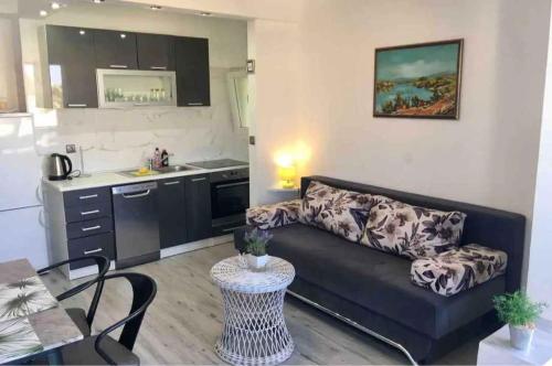 Η κουζίνα ή μικρή κουζίνα στο Apartments in Sevid 7342