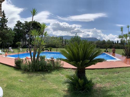 una piscina con palmeras en un patio en Belvilla by OYO Villa Somnium en Albanella