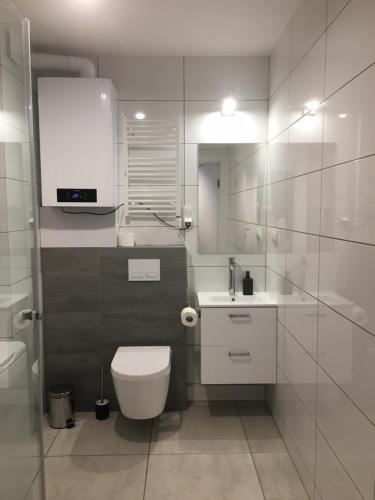a bathroom with a white toilet and a sink at Apartament Fibra Grande in Rybnik