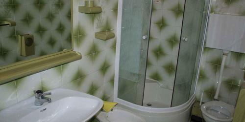 a bathroom with a sink and a shower and a toilet at Apartment in Veli Losinj 36509 in Veli Lošinj