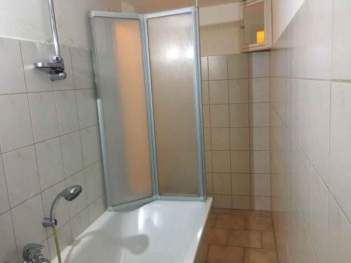 a shower with a glass door in a bathroom at Apartment in Deutscheinsiedel 36165 in Deutscheinsiedel