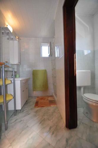 a bathroom with a shower and a toilet in it at Apartment in Risika - Island Krk 35824 in Risika