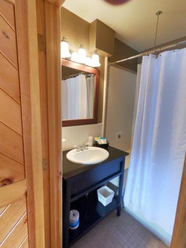uma casa de banho com um lavatório e um espelho em CREEKSIDE LODGE em Markleeville
