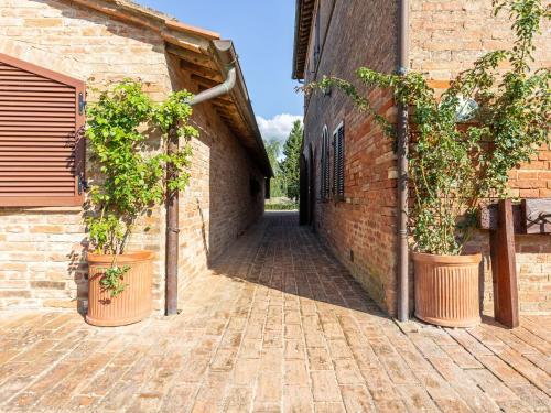 Fotografie z fotogalerie ubytování Farmhouse in Buonconvento v destinaci Buonconvento