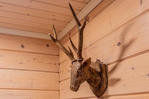 a head of a deer hanging on a wall at Saimaa Life Apartments in Imatra