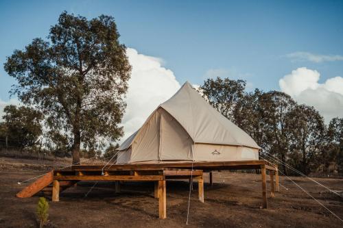 a tent sitting on a table in a field at Lago Valle Wine Glamping in Valle de Guadalupe