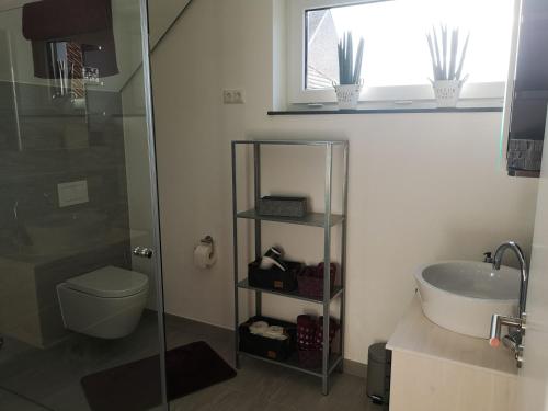 a bathroom with a shower and a toilet and a sink at FeWo Rügshofen in Gerolzhofen