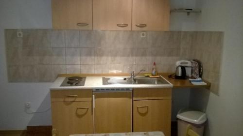 Kuchyňa alebo kuchynka v ubytovaní Apartment in Kustici with sea view, terrace, air conditioning, Wi-Fi (4847-2)