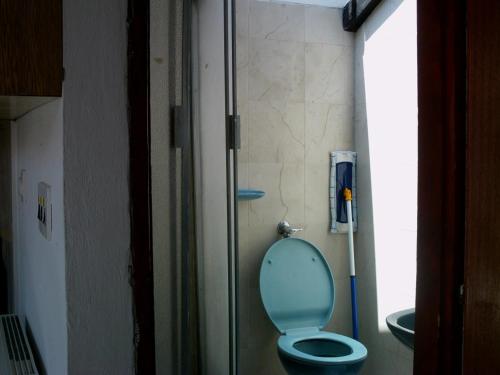 a bathroom with a blue toilet in a room at Apartment in Zlarin with balcony, W-LAN, washing machine (3813-1) in Zlarin