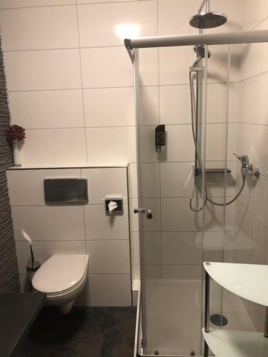 a bathroom with a shower with a toilet and a sink at Hotel am Brünnchen in Oberbaar