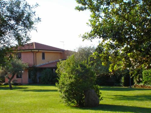 a house with a tree in the yard at Sa Mola in Bonarcado