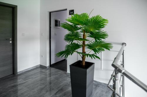 a plant in a black vase in a hallway at Apartments Dora Sveti Martin na Muri in Sveti Martin na Muri