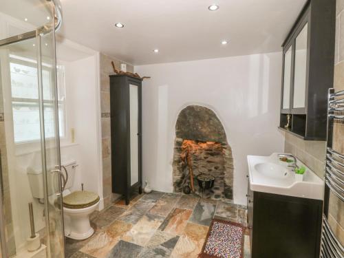 a bathroom with a fireplace and a toilet and a sink at Old School House in Cemaes Bay