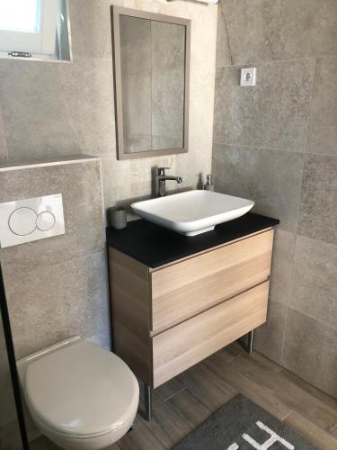 a bathroom with a sink and a toilet at Mókus Apartmanház in Balatonszárszó