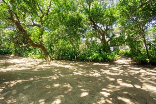 a dirt road with trees in a park at Kangela 9 in Ponta Malongane