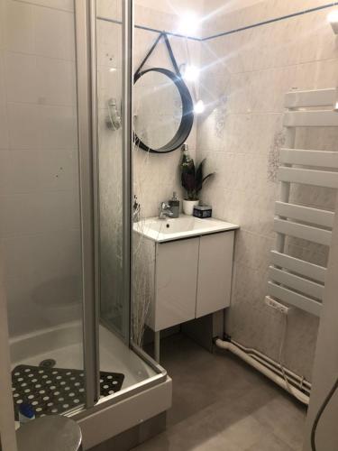 une salle de bain avec une douche, un lavabo et un miroir dans l'établissement Avenue des Gabions résidence super deauville, à Villers-sur-Mer