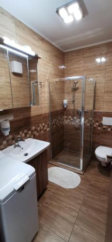 a bathroom with a shower and a sink and a toilet at Balaton&Center Wellness Apartman in Siófok