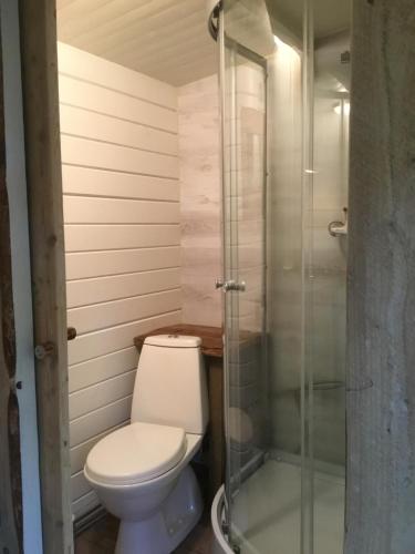 a bathroom with a toilet and a glass shower at Cozy Lodge near Brattforsheden nature reserve in Filipstad