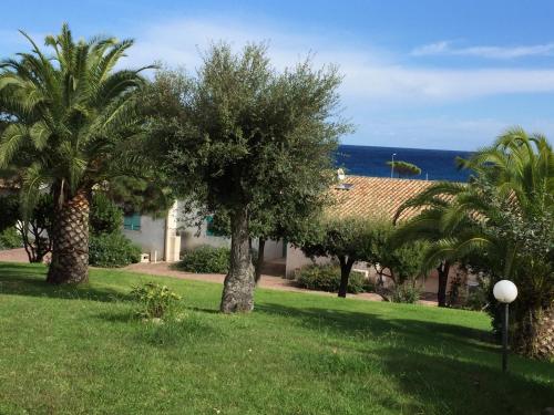 a yard with palm trees and the ocean in the background at Favone Mini Villa Playa del Oro in Favone
