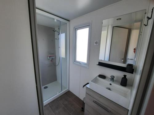 Litteau的住宿－Savina，一间带水槽、淋浴和镜子的浴室