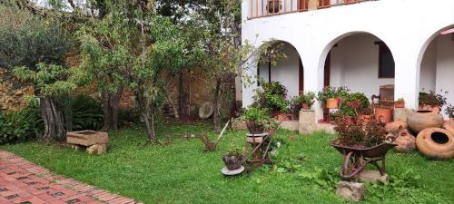 a garden with potted plants on the grass at Posada Portal de la Villa in Villa de Leyva
