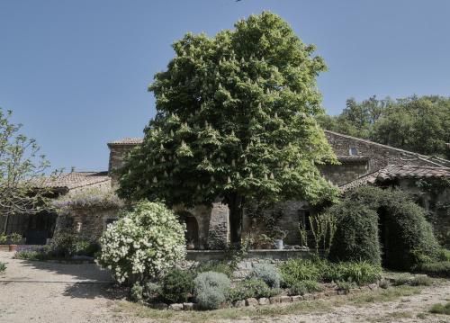 une vieille maison en pierre avec un arbre dans la cour dans l'établissement La Cour du Marronnier, à Pont-de-Barret