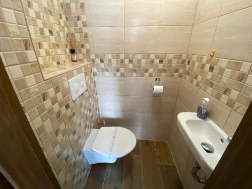 a small bathroom with a toilet and a sink at Apartmány Kubova Huť in Kubova Huť