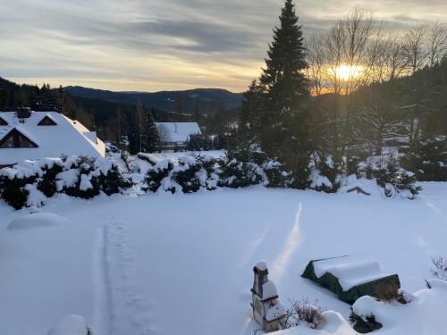 a snow covered yard with a house and a tree at Apartmány Kubova Huť in Kubova Huť