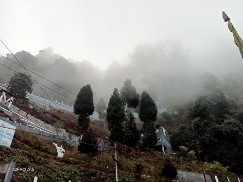 a group of trees and a house on a hill at Madys view -Aaple Ghar in Darjeeling