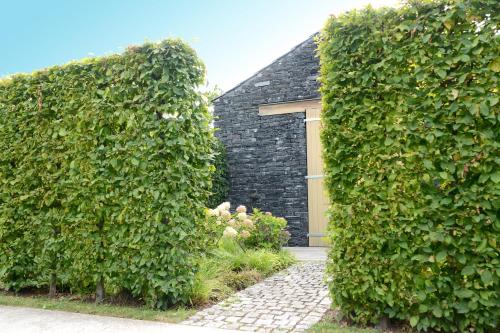 a pair of hedges in front of a garage at WeinKulturgut Longen-Schlöder in Longuich