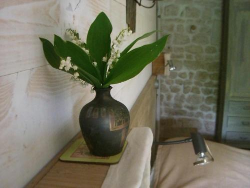 a black vase with flowers in it on a table at Chambres d'Hôtes - Les Bujours in Saint-Georges-des-Côteaux