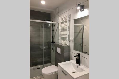 a bathroom with a toilet and a sink and a shower at Apartament Fibra Bounty in Rybnik