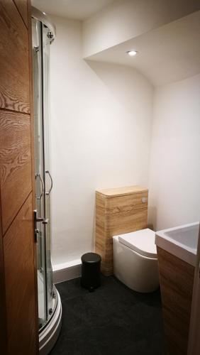 uma casa de banho com um WC e um lavatório em Lowghyll suite em Bowness-on-Windermere
