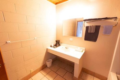 a bathroom with a white sink and a mirror at Cedar Inn in McCook