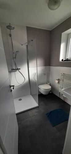 a bathroom with a shower and a toilet and a sink at Motel Hamberger Krug in Hambergen