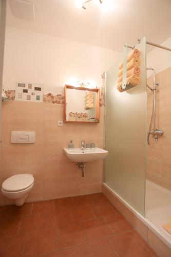 a bathroom with a toilet and a sink and a shower at Apartment Am Markt 16, Bandusch-Szemák in Pirna