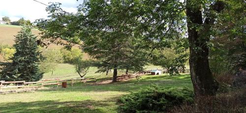 um parque com uma cerca e árvores e um campo em Le Gîte du Chat Nature et Calme à la campagne em Villeneuve-de-Marc