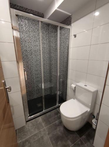 a bathroom with a toilet and a shower at Pension Cando in Porriño