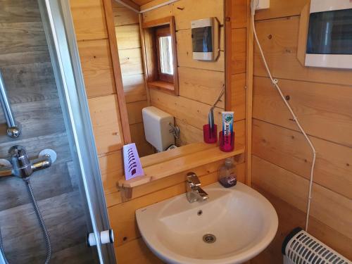 Bagno di Gnezdo Vid-ik